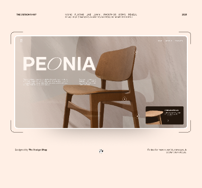 Furniture Website Design preview